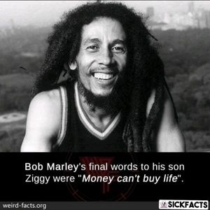 Meet your Posher, Demetrius